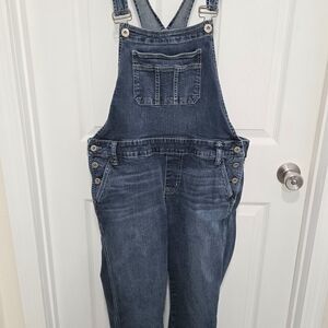Torrid Women’s Overalls Stretch Sz 12 Med Wash Denim